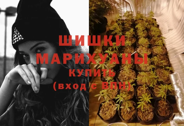 сатива Арсеньев