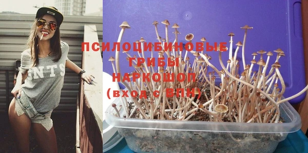 синтетический гашиш Армянск