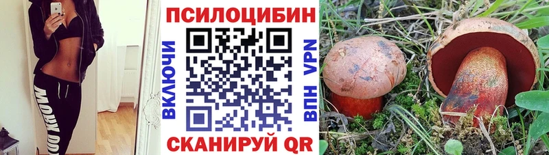 Псилоцибиновые грибы мухоморы  ОМГ ОМГ зеркало  Орлов  дарнет шоп 